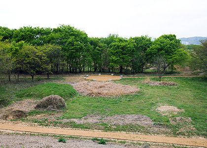[대구]달성습지생태학습관