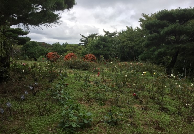 [울산]울산테마식물수목원