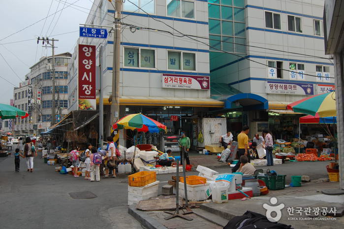 약목시장 (양목장)