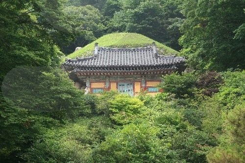 경주 선덕여왕릉