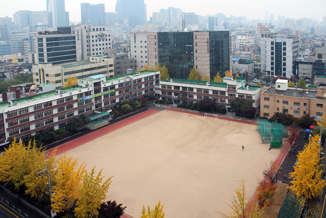 역삼초등학교캠프