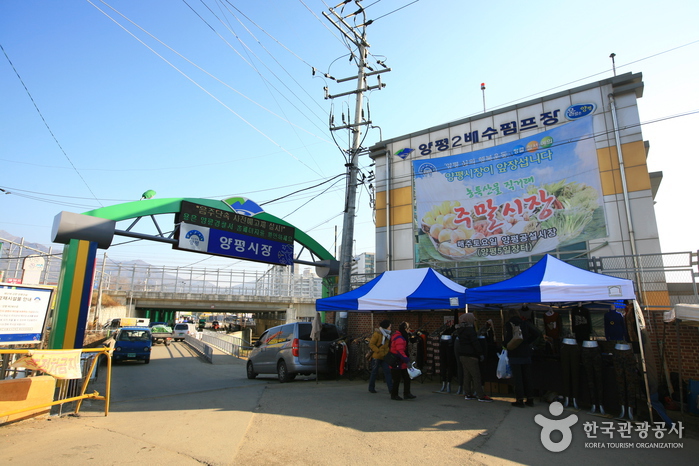양평장 / 양평시장 (3, 8일)
